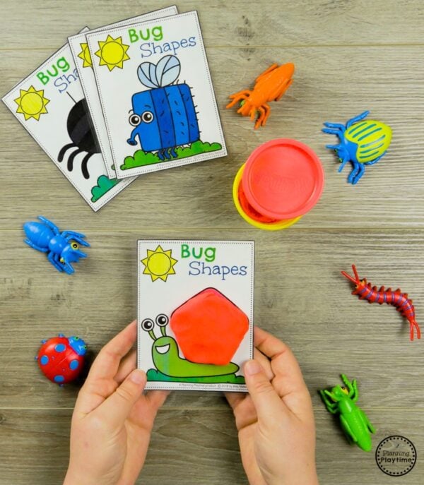 Bug Activities Planning Playtime