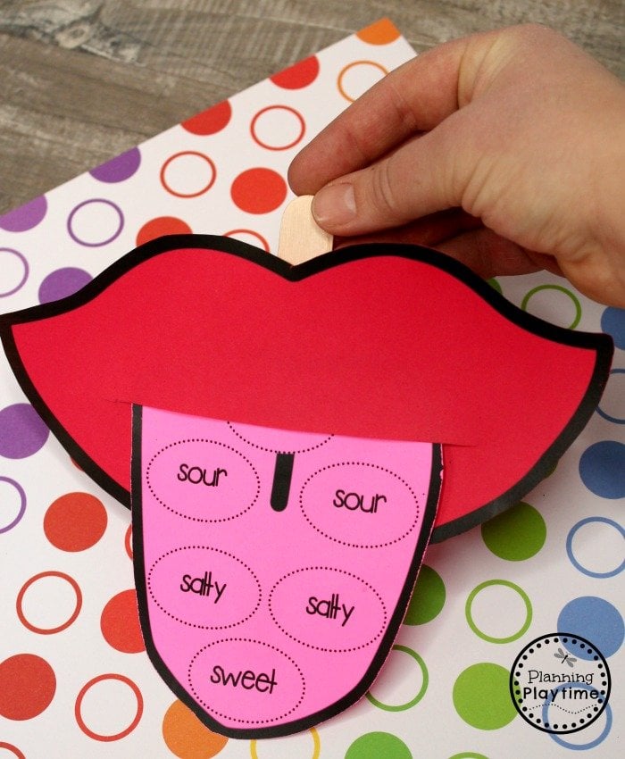 5 Senses Chart For Preschoolers