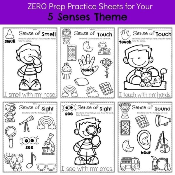 5 Senses Science Activities - Preschool