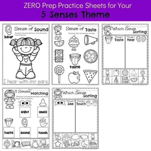 5 Senses Science Activities - Preschool