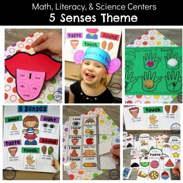 5 Senses Science Activities - Preschool