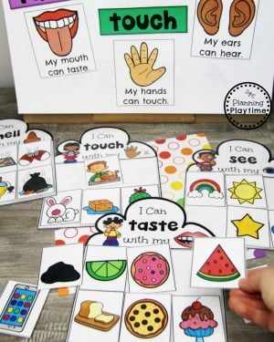 5 Senses Sorting Game for Preschool #5senses #preschoolthemes #preschoolcenters #planningplaytime