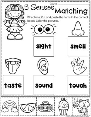 5 senses worksheet