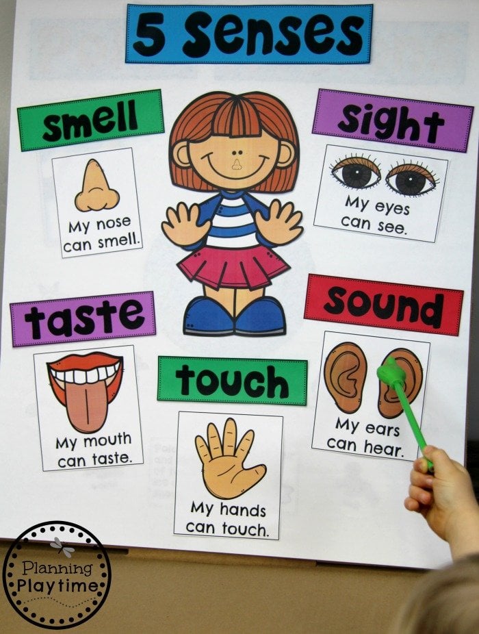 Five Senses Anchor Chart