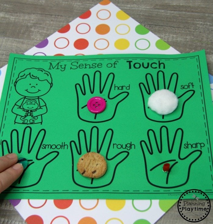 5 Senses Chart For Preschoolers