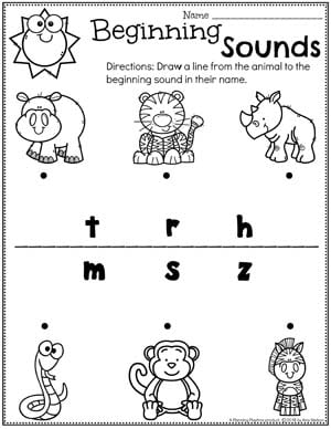 preschool zoo theme planning playtime