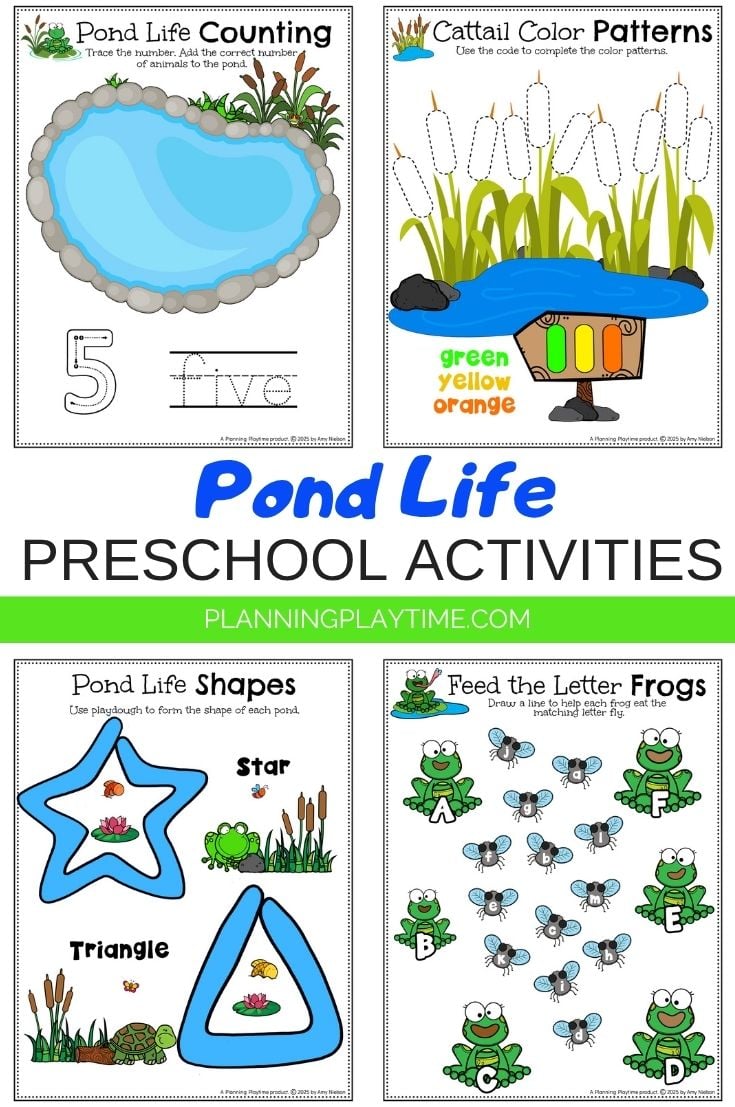 Pond Life Activities and Centers Preschool Theme
